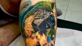 Значение татуировки попугай